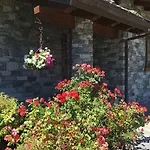 Fleur Des Neiges Aosta