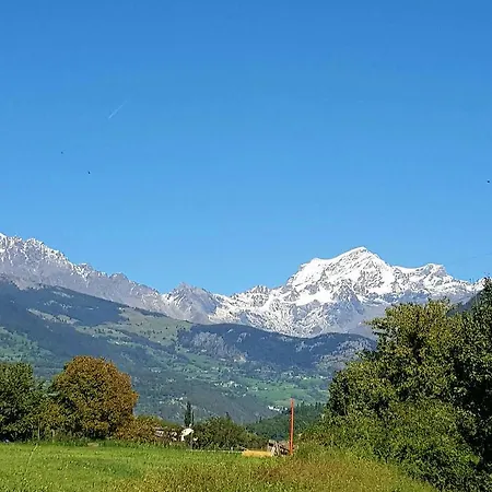 Fleur Des Neiges Aosta