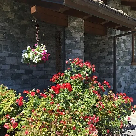 Fleur Des Neiges Aosta