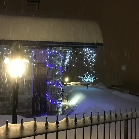 Fleur Des Neiges *